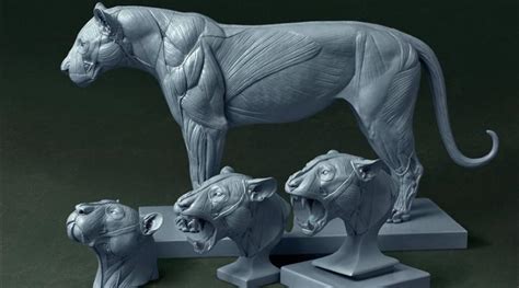 3d cad solid objects file formats: Jun Huang's 3D Printed Big Cat Anatomy Models a Smashing ...