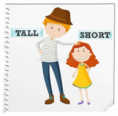 Tall Short Opposite Adjectives Adjective Vector English