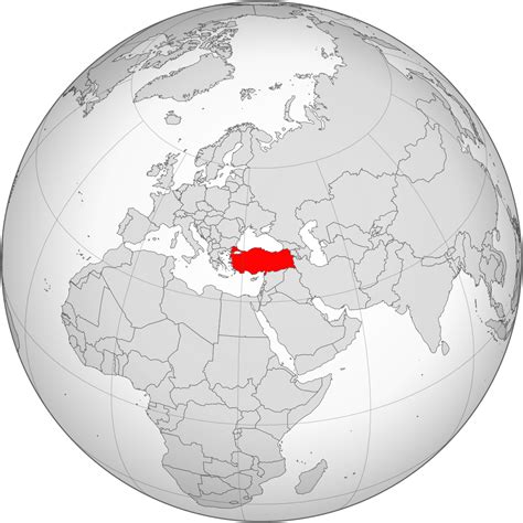 Nasa uydu görüntüsü ile dünyada meydana gelen orman yangınları nın canlı haritasını kullanıcıların hizmetine sunuyor. Turkish homeless man burns to death after being neglected ...