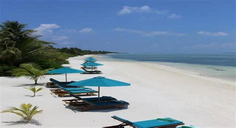 Canareef Resort Maldives Herathera