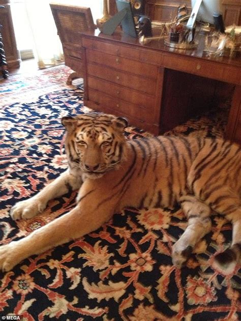 Jeffrey Epstein Kept A Taxidermied Tiger And Small Poodle In Home