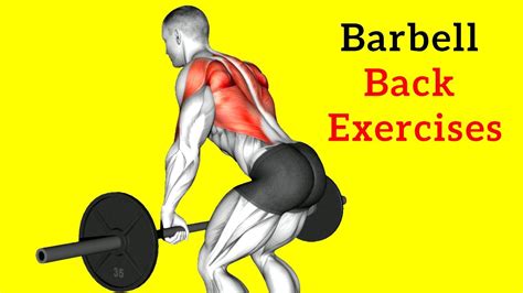 Barbell Back Workout For Mass Eoua Blog