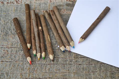 4 Bundle Of Twig Colored Pencils Arbor Day Foundation