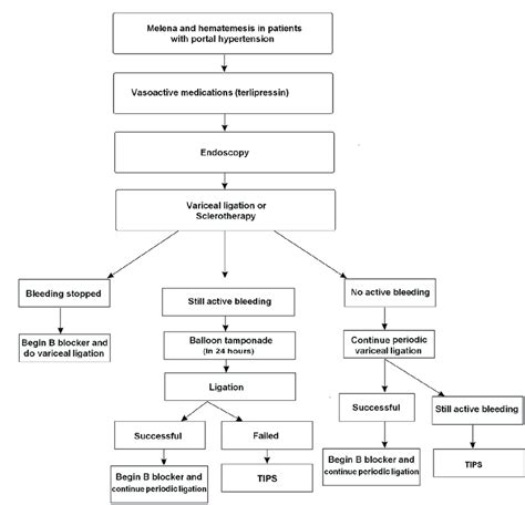 Approach Algorithm For Patients With Active Esophageal Variceal