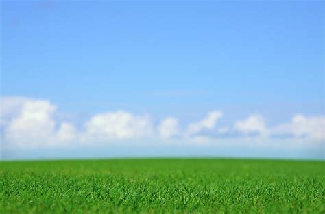 Green Field And Blue Sky Photograph By Johannescompaan Pixels