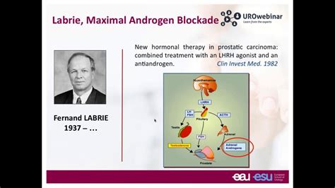 Urowebinar Hormone Therapy In Prostate Cancer Who How And When Youtube