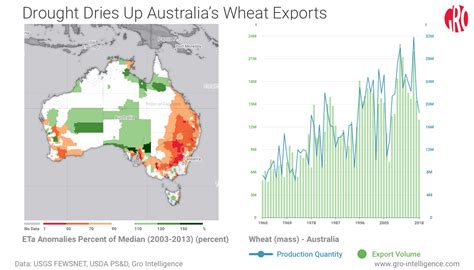 Australian Wheat Output Wilts As Drought Persists