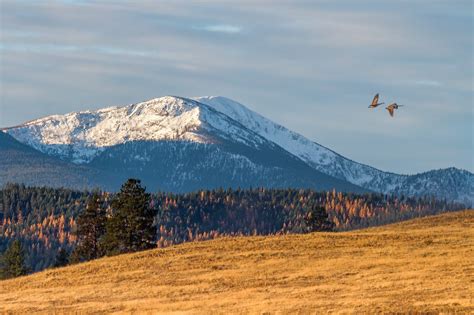 Lolo Peak Missoula Montana © Wonderful