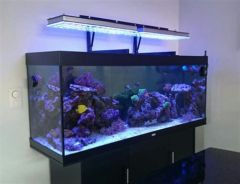 Atlantik Series Choosing Proper Led Aquarium Lighting •orphek