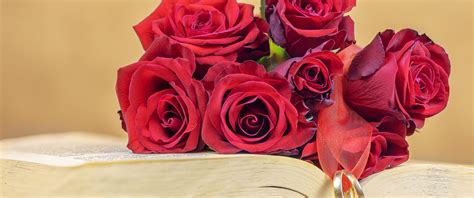 Red Roses Wallpaper 4k Wedding Rings Book Valentines Day 5k
