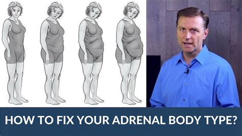 how to fix and adrenal body type youtube body type diet adrenals body types
