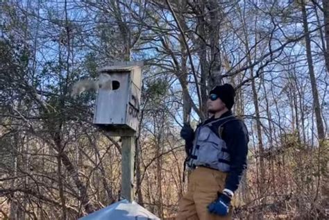 Say What Wildlife Workers Squirrel Surprise Caught On Camera