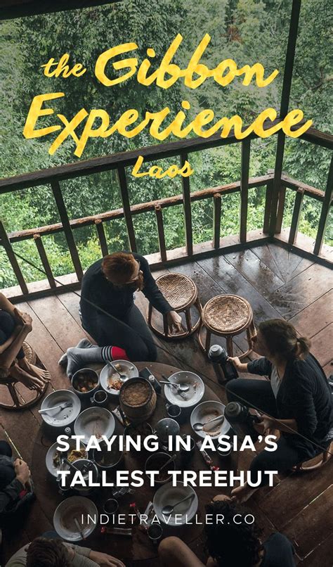 Gibbon Experience Review Is It Worth It Indie Traveller Laos