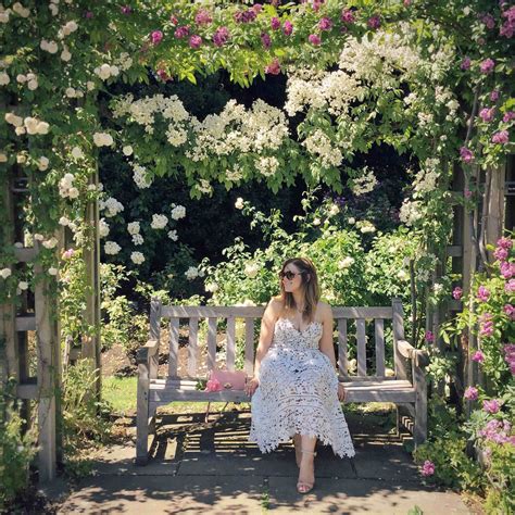 How to grow a rose from an existing rose? In the Rose Garden