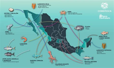 11 Pescados Y Mariscos Con Certificación Sustentable En México