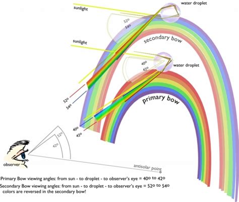 How Does A Rainbow Form Physicist Guide To Explain This Natural Phenonmenon Askiitians Blog