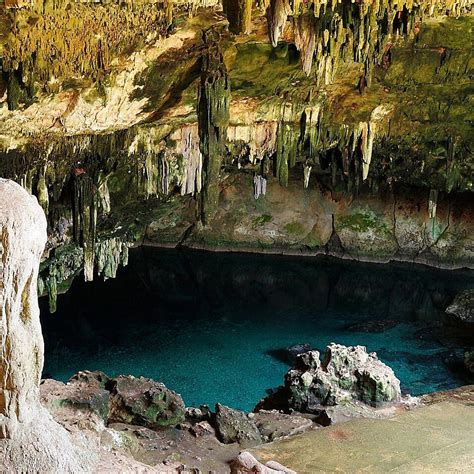 1 Day Hike To Gorgeous Cenotes And Mayan Caves By Spur Experiences