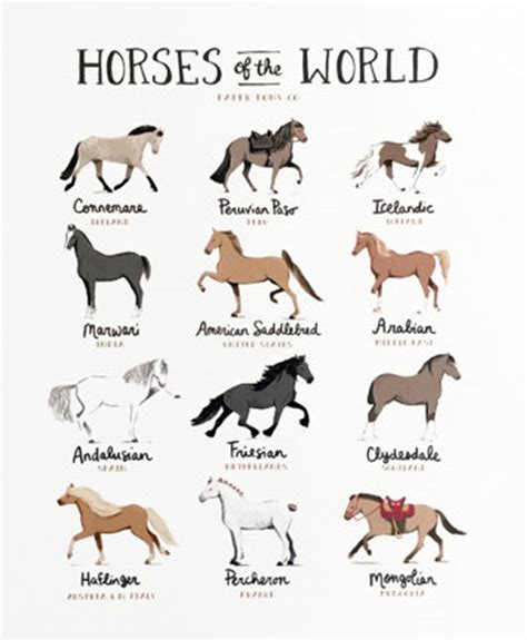 Pin By Cassidy On Horses And Other Issues Horse Facts Pretty