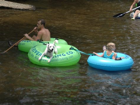 Float Down North Georgias Natural Lazy River Trips To Discover