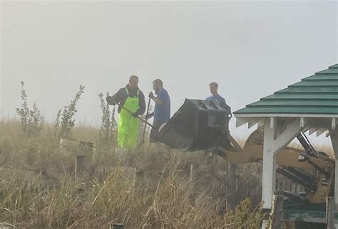 This my friends is a full fledged geek out because i loved dune so very much. Volunteers Planted 96 Shrubs to Protect Seaside Park Dunes ...