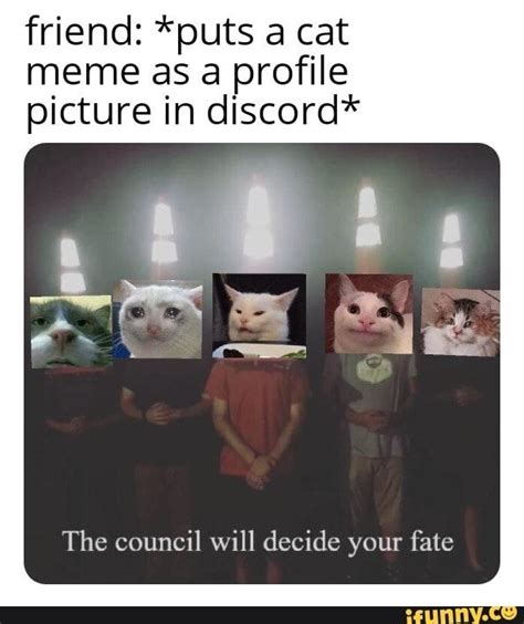 Friend Puts A Cat Meme As A Profile Picture In Discord
