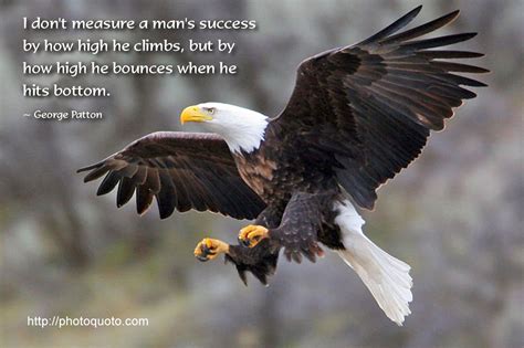 Eagle Motivational Quotes Quotesgram