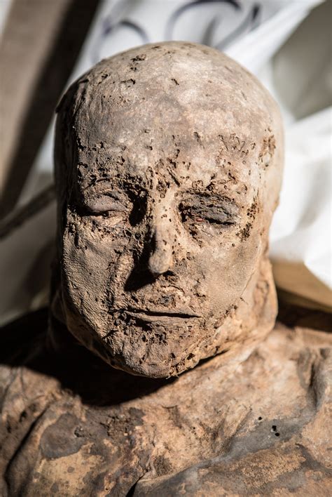 The Mummies Medical Secrets Theyre Perfectly Preserved The New