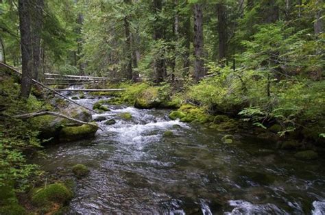Cold Spring Creek Crossing Hiking In Portland Oregon And Washington