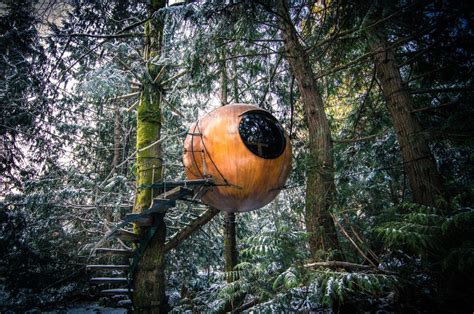 The 18 Greatest Tree Houses For Adults Global Entrepreneur Network