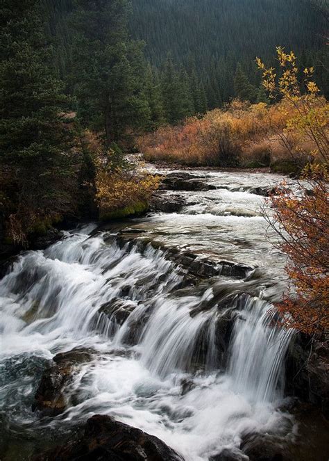 South Fork Of Mineral Creek Near Silverton San Juan Mountains