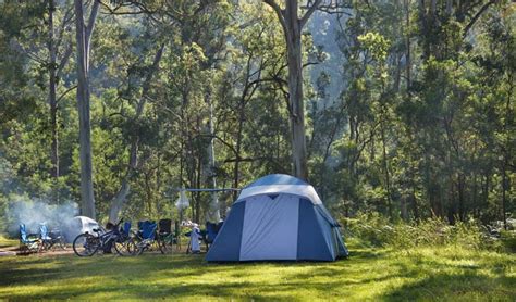 Euroka Campground Nsw National Parks
