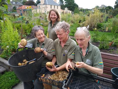 The Edible Gardening Project Is Recruiting Volunteers Botanics Stories
