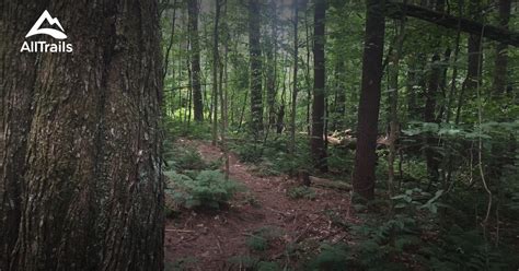 Best Trails In Highland Forest Park New York Alltrails
