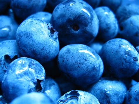 Blueberry ♡ Blueberries Photo 35247024 Fanpop