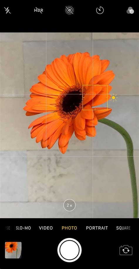 How To Use The Iphone Camera App To Take Incredible Photos Artofit
