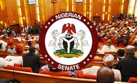 Senate Unveils 45 Member Committee For Constitution Review