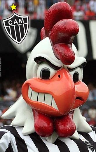 Find parana clube results and fixtures , parana clube team stats: Pelo melhor mascote de Rondônia, Ji-Paraná inicia um ...