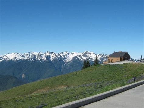 Visitor Center Picture Of Hurricane Ridge Olympic