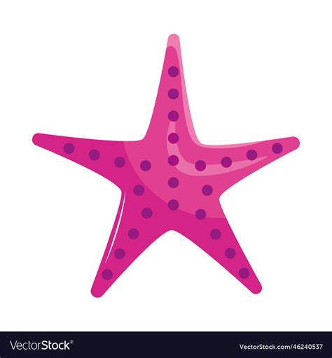 Pink Starfish Animal Royalty Free Vector Image