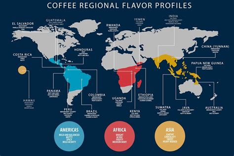 A Beginners Guide To Coffee Flavour Profiles
