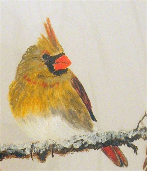 Cardinals Birds Cardinal Bird Painting By Colorado Artist Mary
