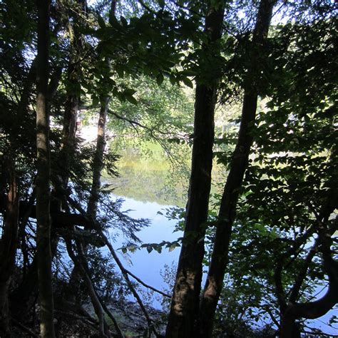 Esopus Bend Nature Preserve Saugerties All You Need To Know Before