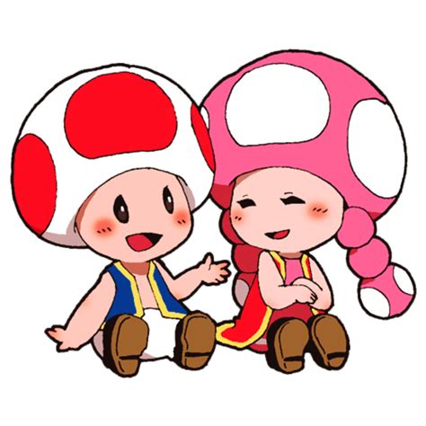 Toad And Toadette Super Mario Know Your Meme