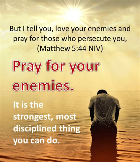Pray For Your Enemies Sovereign Roar Pray Pray For Enemies Enemy