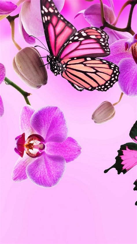 Lock Screen Butterfly Wallpaper Pink Aesthetic Butterfly