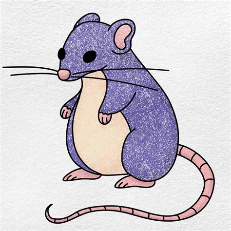 How To Draw A Rat Helloartsy