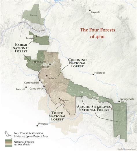 Arizona Forests Four Forest Restoration Initiative Grand Canyon Trust