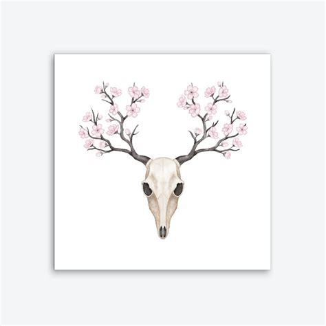 Blooming Deer Skull Canvas Print By Laura Nagel Fy