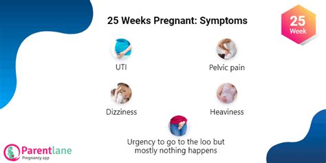 Quick View Common Signs And Symptoms At 25 Weeks Of Pregnancy