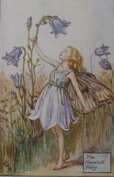1925 Vintage Print Of The Harebell Fairy Flower Fairies Of Etsy